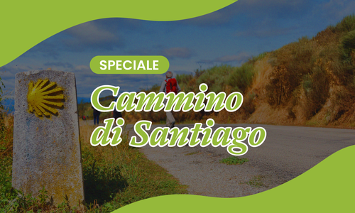 EDICICLO  - SPECIALE CAMMINO DI SANTIAGO - BANNER SITO.png