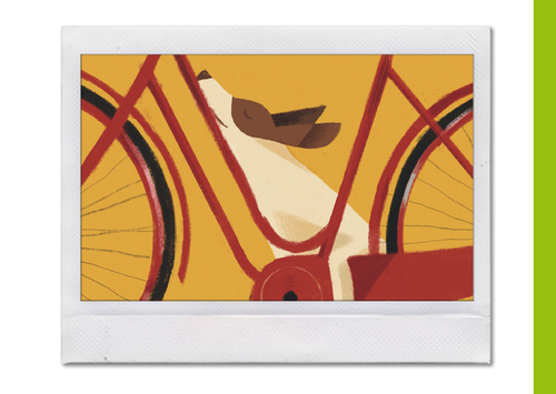 images/Progetto_senza_titolo_27.png
